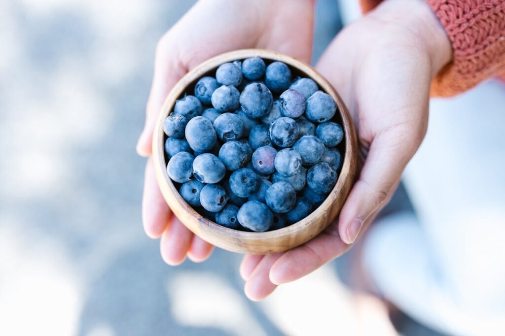 Beneficios de los arándanos para la salud